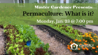 Permaculture: What the heck is it?