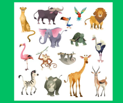 variety of jungle animals
