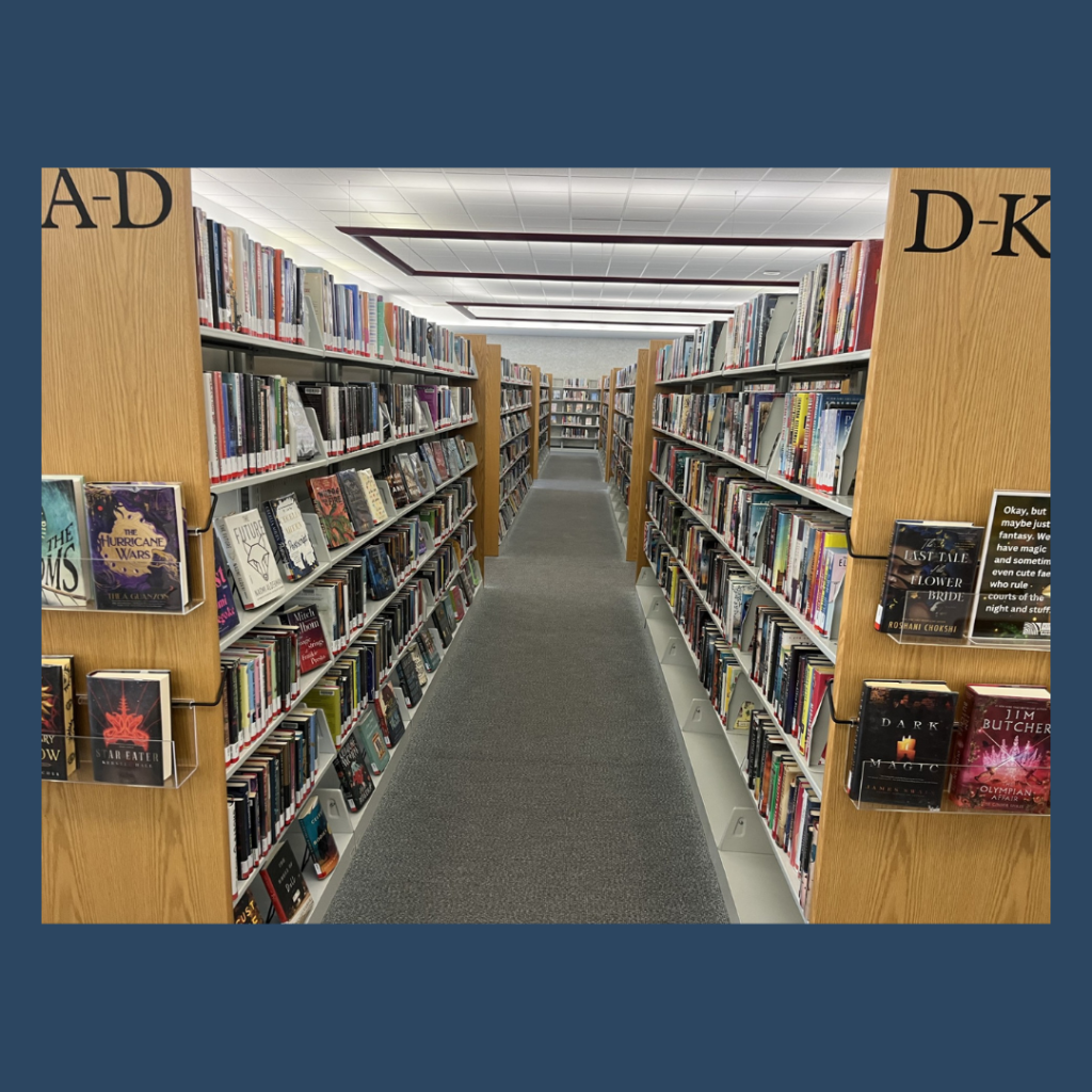Library before in the stacks