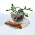 tea cup succulents