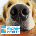 Fox Valley Humane Association visits Memory Cafe