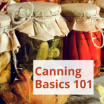canned food with the text: "canning basics 101"