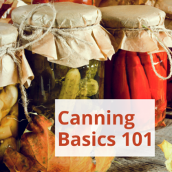 canned food with the text: "canning basics 101"