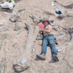 man lying next to large dinosaur bone