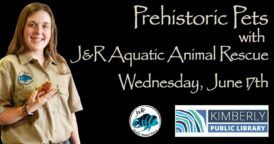 person holding a lizard