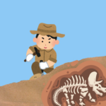 Fossil find