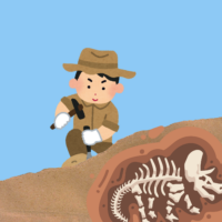 Fossil find