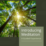 tree canopy with the words "introducing meditation: a guided experience"