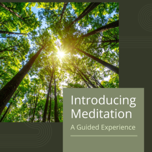 tree canopy with the words "introducing meditation: a guided experience"