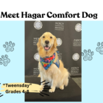 Meet Hagar the Comfort Dog