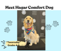Meet Hagar the Comfort Dog