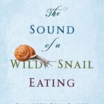 The sound of a wild snail eating