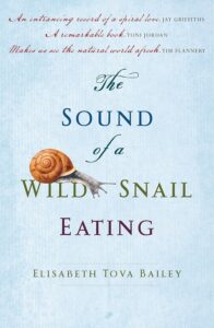The sound of a wild snail eating