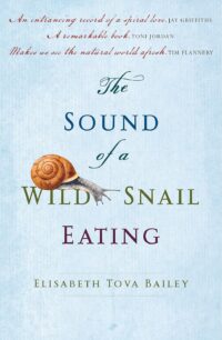 The sound of a wild snail eating